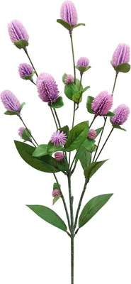 Produktbild von artplants.de Kunstblumen Zweig Kugelamarant THUSNELDA, lila, 70cm - Künstlicher Deko Zweig