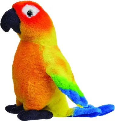 Immagine prodotto di Conura solare 20 cm - Beppe