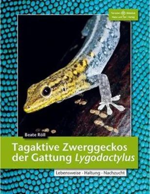 Obrázek produktu pro Tagaktive Zweggeckos der Gattung Lygodactylus
