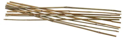 Produktbild von Bambusstäbe Pflanzstäbe Rankhilfe Ø 5-8 mm x 60 cm (10 Stück)