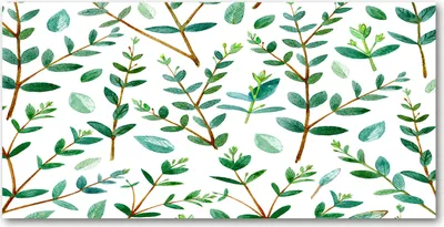 Produktbild von Tulup® Glas-Bild - 100x50 -Wandkunst - Wandbild hinter gehärtetem Sicherheitsglas  - Blumen & Pflanzen - Eukalyptus - Grün