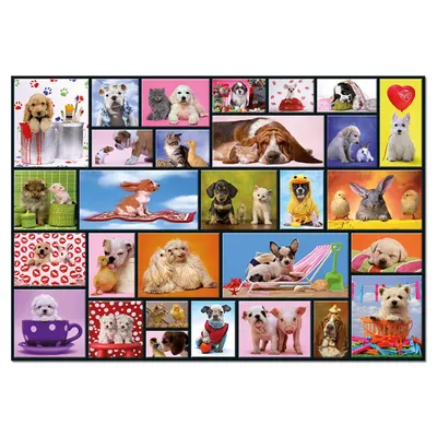Produktbild von Educa Puzzle - Shared Moments 1000 Teile