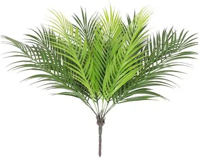 Obrázok produktu pre Umelé palmy, 2 ks, 50 cm, zelené, umelá palma, plast, dekorácie na tropickú džungľovú párty