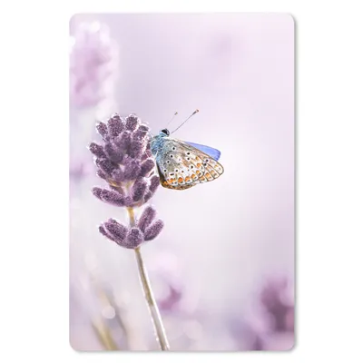 Produktbild von MuchoWow® Mauspad Mousepad Lavendel - Schmetterling - Nahaufnahme - Lila 18x27 cm - Mousepads - Maus Mat - Pad - Mausunterlage