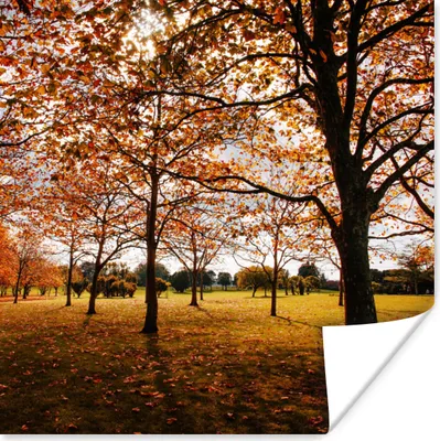 Produktbild von MuchoWow® Poster Herbst - Herbstblätter - Natur 100x100 cm - Babyzimmer