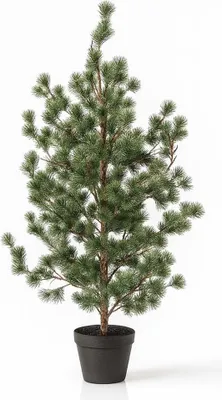 Produktbild von Zeder - Kiefer 120cm - Künstliche Pflanze - Realistische Kiefern - &