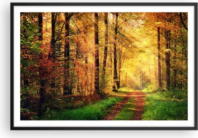 Produktbild von Gerahmtes Poster - Schwarzer Rahmen - Wald Baum Natur - 91,5x61 cm - Wand Bild - Wanddeko - Wandbilder - Kunstposter - Wandposter - Bilderrahmen - Bilder - Kunstdruck - Wandbild - P2BAA91x61-3718