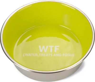Immagine prodotto di Beeztees WTF - Ciotola per cani - Acciaio inossidabile – Verde, Dimensioni: ø 16 cm