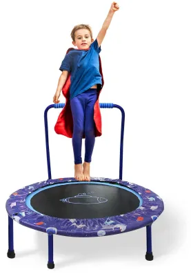Immagine prodotto di Mini trampolino per il fitness con maniglie di sicurezza