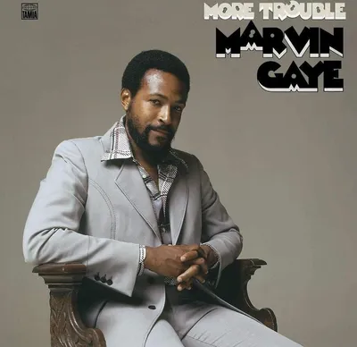 Obrázek produktu pro Marvin Gaye: (180g) - - (Vinyl / Rock (Vinyl))