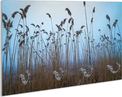 Produktbild von Wallario Schlüsselbrett aus Glas, Motiv: Schilfrohr am See vor blauem Himmel, 30 x 20 cm mit 4 Haken