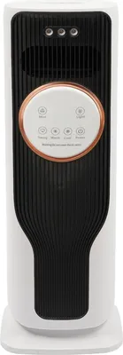 Obrázek produktu pro Ventilátor pro chlazení/topení, dálkové ovládání, funkce zvlhčování, černý, EU-a