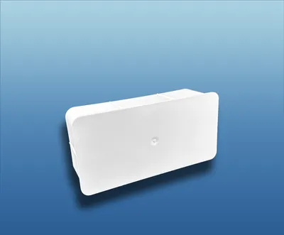 Produktbild von Flachkanal Endkappe Enddeckel : 100 (110x55) System: 100 (110x55)