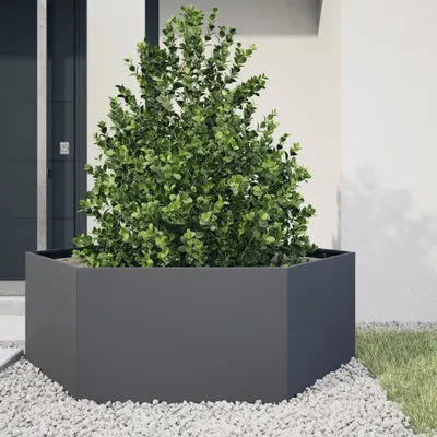 Zdjęcie produktu dla vidaXL Sadzarka antracytowa sześciokątna 138x120x45 stalowa