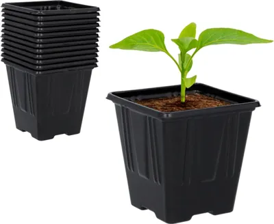 Obrázek produktu pro Plastové květináče pro sazenice 7x7x8 cm - 24 kusů