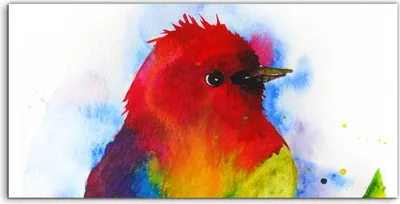 Produktbild von Coloray - Glasbild - 100x50 cm - Wandbild - Glasbilder - Ein Vogel auf einem Ast Tiere Aquarell