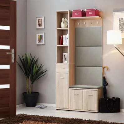 An entryway with a hallway unit, plant, and door.