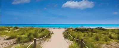 Produktbild von Wallario Poster - Sandweg zum blauen Meer mit blauem Himmel, Kunstdruck Größe: 50 x 125 cm