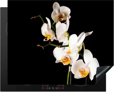Produktbild von KitchenYeah© Herdabdeckplatte Orchidee - Blumen - Pflanzen - Botanisch , 65x52cm, Küche Deko, Glaskeramikkochfeld Herdabdeckung, Abdeckplatte fùr Kochfeld