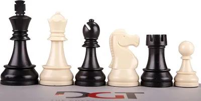 Immagine prodotto di Figure di scacchi in plastica DGT n. 5, pesate, altezza re 86 mm, sacchetto di plastica