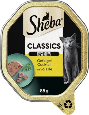A square-shaped container of cat food with a picture of a cat and the product details.