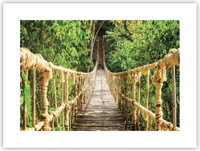 Produktbild von Poster - Poster ohne Rahmen - Brücke Seil Dschungel - 40x30 cm - Wand Bild - Wanddeko - Wandbilder - Kunstposter - Wandposter - Bilder - Kunstdruck - Wanddekoration - Wandbild - P2XAA40x30-4319