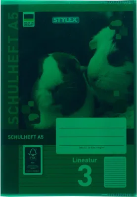 Produktbild von STYLEX Heftumschlag - DIN A5 - PP - transparent grün