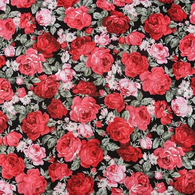 Produktbild von Baumwollstoff Meterware Rosen schwarz rot grün 145cm