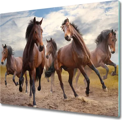 Produktbild von Glas Herdabdeckplatte 60x52 cm Spritzschutz Glasabdeckplatte Schneidebrett Fünf Pferde