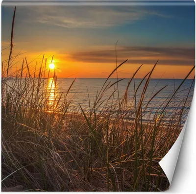 Produktbild von Vlies fototapete Sonnenuntergang über dem Meer 100x100 cm Feeby Orange inkl. Kleber einfache Montage