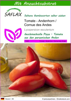 Produktbild von SAFLAX - Tomate - Andenhorn / Cornue des Andes - 10 Samen - Mit keimfreiem Anzuchtsubstrat - Lycopersicon esculentum