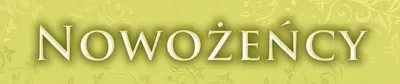 Obrázek produktu pro Svatební poznávací značka 50x11,5 cm, 1 kus TK16