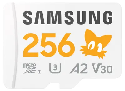 Image de Samsung MB-MD256S 256 Go MicroSDXC UHS-I Class 10