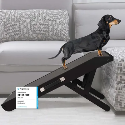 Produktbild von Hunderampe - Hundetreppe für kleine Hunde und große Hunde - Einstellbar 18 - 53 cm - Für Bett Sofa - Birkenholz - Landeplattform schließt nahtlos an - Rampe Hund Klappbar - Anti-rutsch Einsatz Schwarz