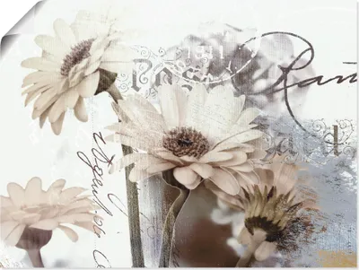 Produktbild von ARTland Poster Gerberas_Detail Größe: 40x30 cm