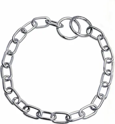 Image de Sprenger Short Collier pour chien Argent 55cm Argent 55cm