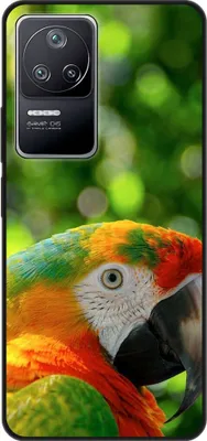 Produktbild von König Design Hülle kompatibel mit Xiaomi Poco F4 Kunststoff Soft Handyhülle - Handy Case Papagei