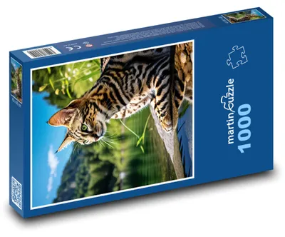 Zdjęcie produktu dla Puzzle 1000 Kot nad jeziorem - martinpuzzle