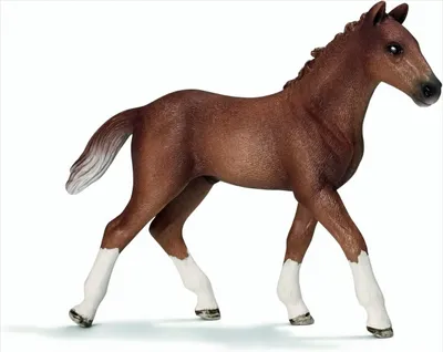 Produktbild von Schleich 13730 - Hannoveraner Fohlen