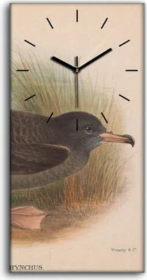 Produktbild von Wandkunst Leinwand Bild Uhr Geräuschlos 30x60 Vögel Wild Tiere Zeichnung Kunst - schwarze Hände