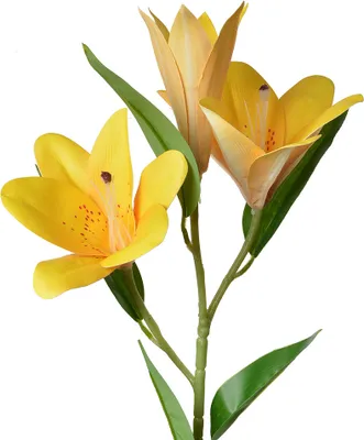 Image de Clayre & Eef Fleur artificielle 71 cm jaune plastique