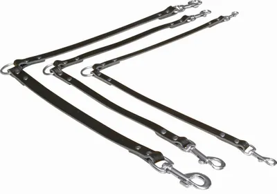 Immagine prodotto di Paddock in pelle per 2 cani S - M 30cm 13mm nero