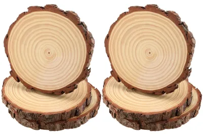 6 Holzscheiben 18-20 cm unbehandelt für DIY & Basteln