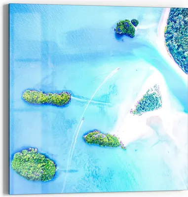 Produktbild von DEQOART Glasbild Echtglas 30x30 cm 'Juwelen des Meeres' Wandbild Bild modern Deko