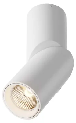 Obrázek produktu pro Stropní svítidlo LED, kovové, bílé, kulaté, otočné
