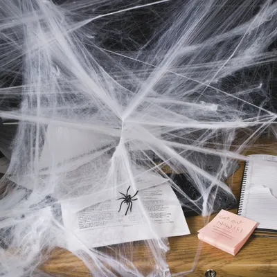 Produktbild von Halloween Spinnennetz Spinnweben mit Spinne