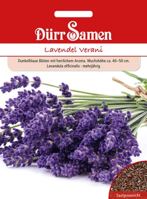 Produktbild von Dürr-Samen - Lavendel Verani - Saatgut - 4386