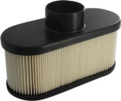 Immagine prodotto di Filtro aria personalizzabile Ariens, Kawasaki per modelli Fr651v, Fr691v, Fr730v, Fs481v, Fs541v, Fs600v, Fs651v, Fs691v, Fs730v e F