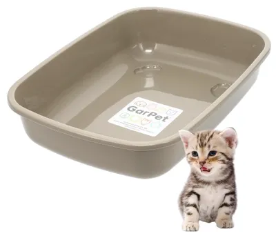 Produktbild von Katzenklo ohne Deckel Junior Katzenklo Klein Katzentoilette moderne Schalentoilette ohne Deckel Katzen Klo Offen Katzentoiletten Mini Kaninchen Toilette Eckig