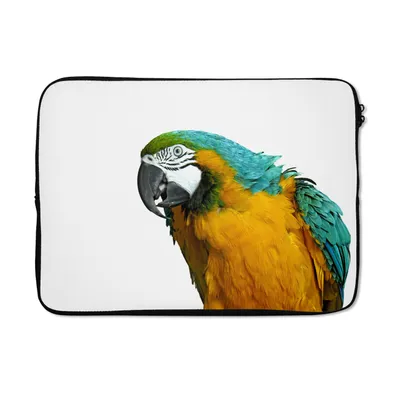 Produktbild von MuchoWow® Laptop Hülle 13 Zoll Papagei - Vogel - Federn - Porträt Laptoptasche - Laptophülle - Sleeve - Rundumschutz